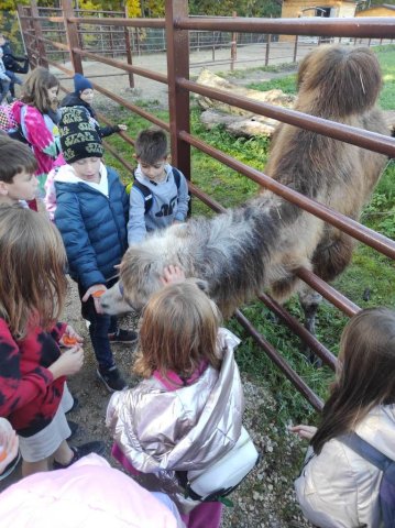 Wycieczka do farmy dyń Dobronianka